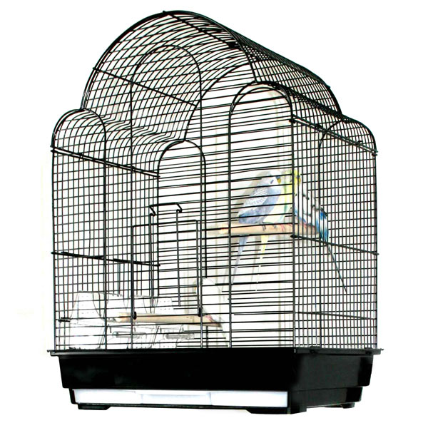 Ewa Escape Small Bird Cage Conure Bird Cages and Cockatiel Bird Cages at Bird Cages 4 Less
