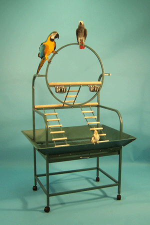 Hanalei Hangout&#8482; Parrot Playstand