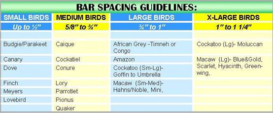 Bird Cage Size Chart