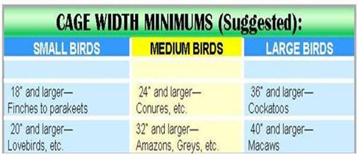 Bird Cage Size Chart